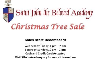 Christmas Tree Sale