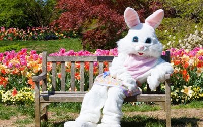 Photos with the Easter Bunny