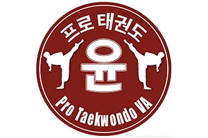 Pro Taekwondo