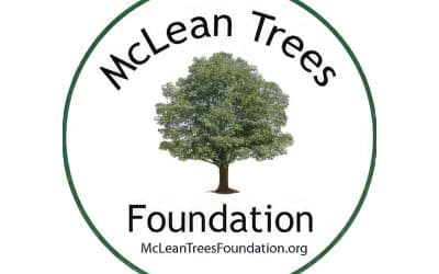 McLean Trees Foundation: Neighborhood Trees Program